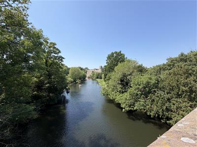 Picture 19